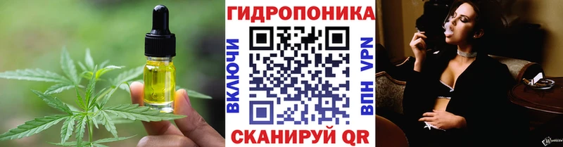 Canna-Cookies конопля  Кашин 