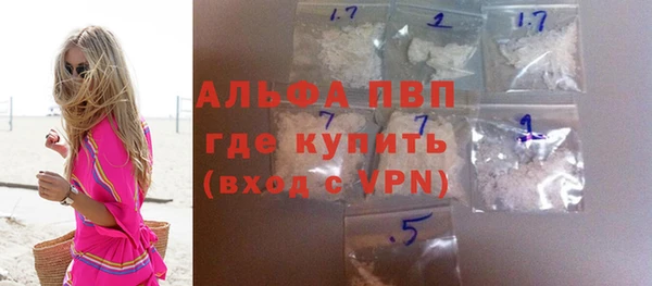 индика Алексин