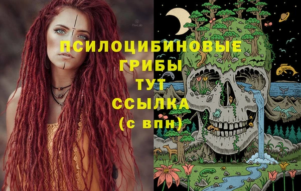 каннабис Алзамай