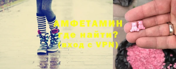 индика Алексин