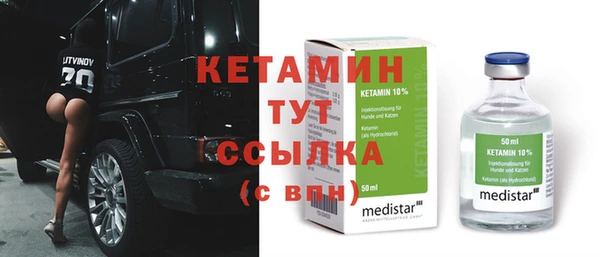 индика Алексин