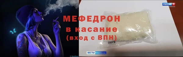 индика Алексин