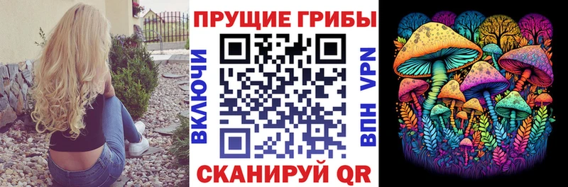 Галлюциногенные грибы Cubensis  Кашин 